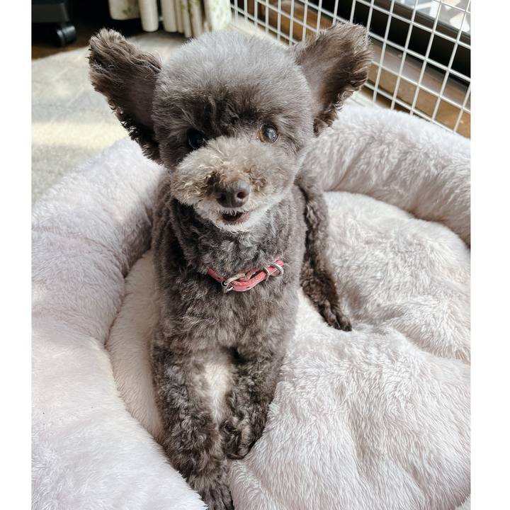 42f12dc1 4e3b 4a4f b077 5fe19099e4a0 1679895448256