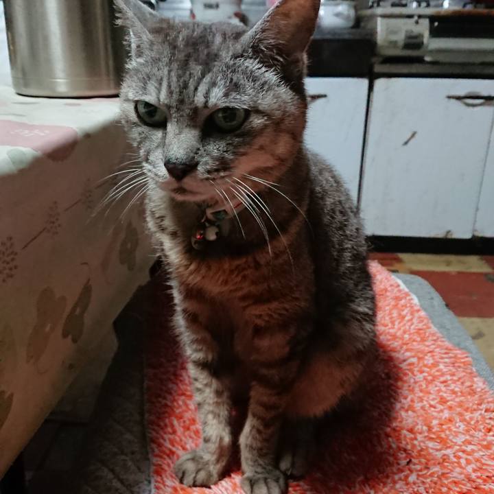 42f1545d d4d2 4f70 90cc 0e1e72ee87cf 1565641199517