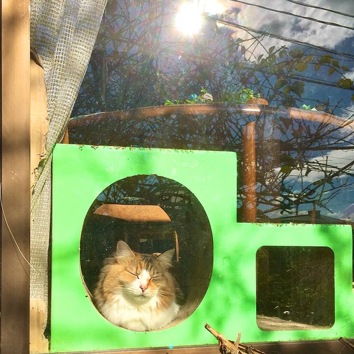 42f16eef 6dd4 4c88 97fd 0e7f3828f266 1606257612520