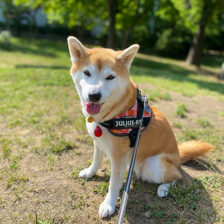 42f17bea 6c4e 405a a82f 0425651993cf 1628831808149