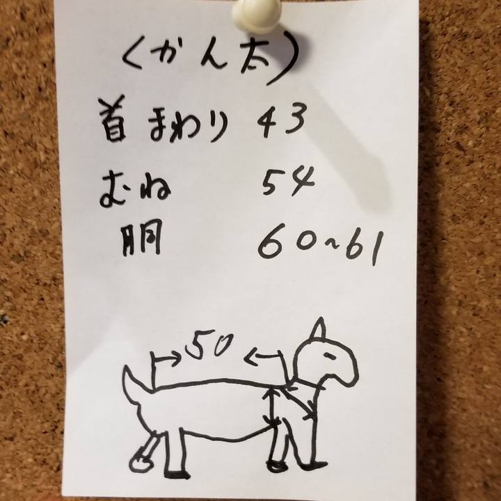 42f19ad9 410d 45ab 9734 b02699fa2adf 1553236255415