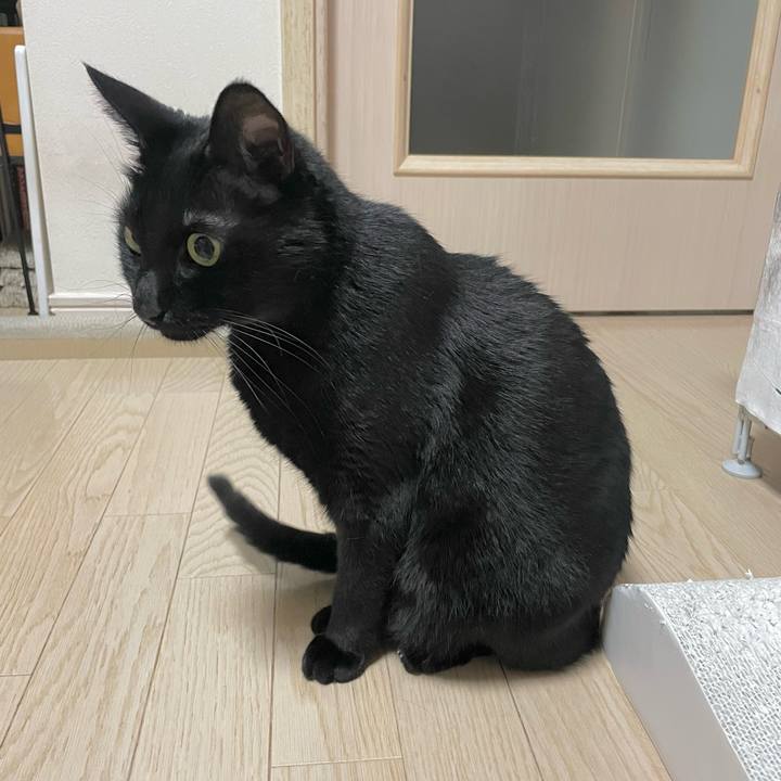 42f1bff8 df52 4ce2 adf9 9a2a39815026 1673785880160