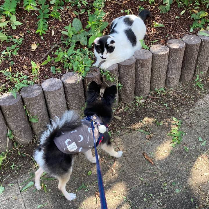 42f1dd6c 5993 45c2 92be 2def2c1f6c6a 1697817142353