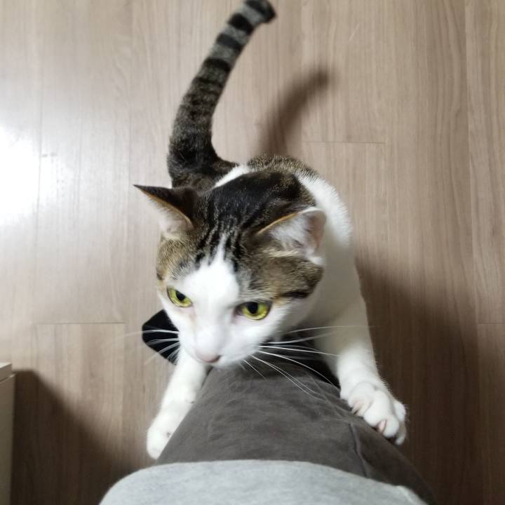 42f1f846 1e73 46bf 89c3 d0fc043e0daf 1555969651753