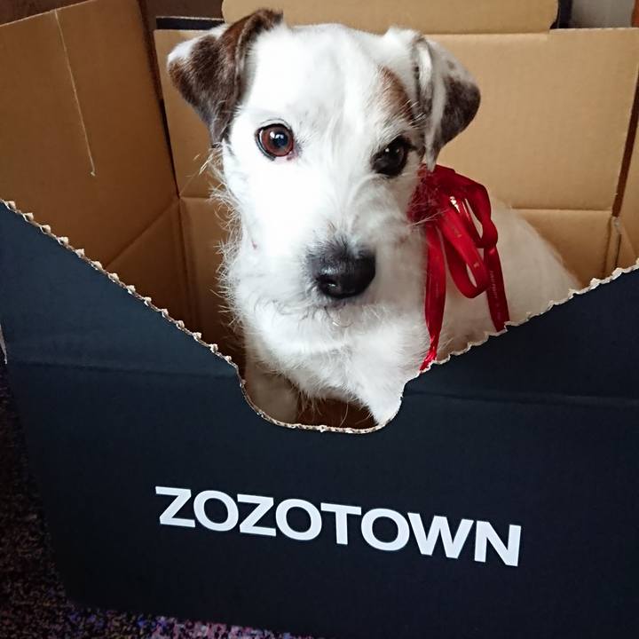 42f2129d fd77 445c 8b35 85fde8dbcc90 1523422777697