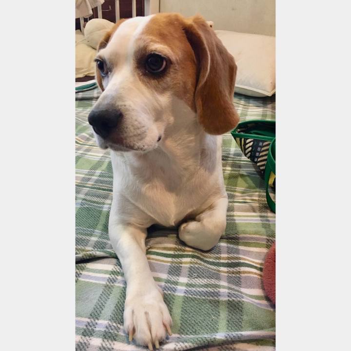 42f21916 fc56 4009 84c6 1f65aa4ec069 1537834403997