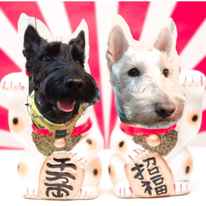 42f21d63 aa7e 43f8 8401 fa8a5c5daa88 1569712844693