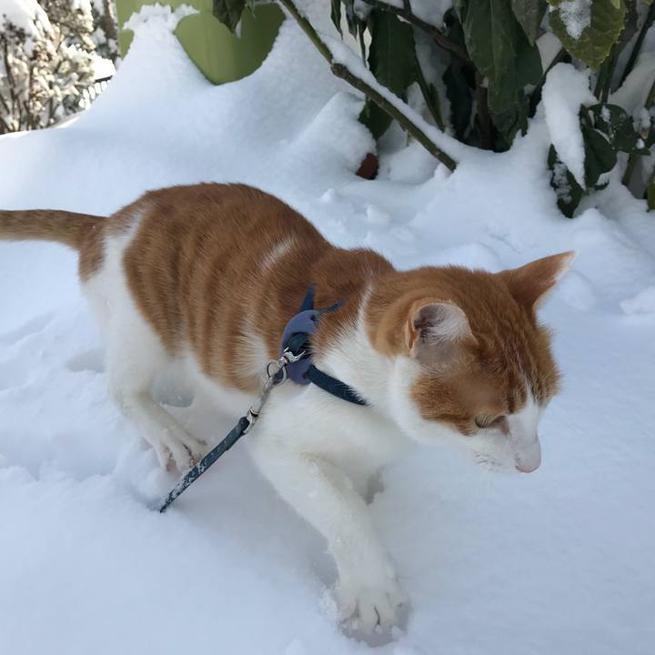 42f22e14 a488 4595 9af4 ef85819e1d20 1516668814494