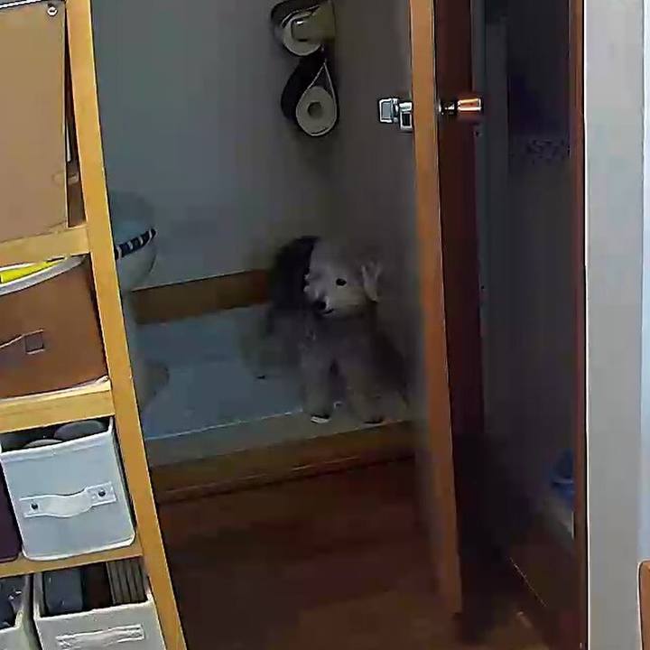 42f2437d 3ad2 498b 84cc b875c258dba7 1666514539256