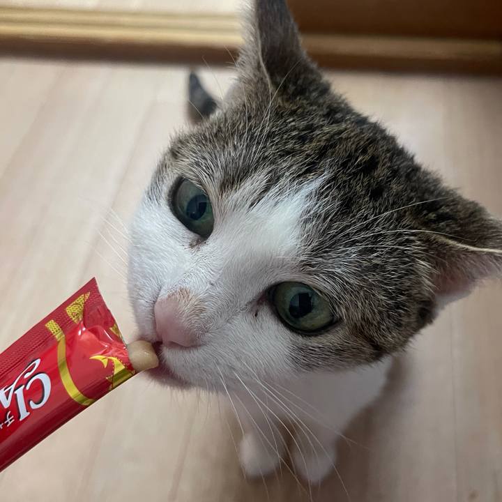 42f26183 7fd5 4bc5 8ade 4c0722737ba7 1625978521035