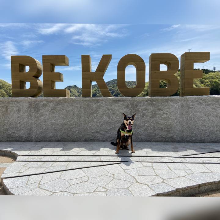 42f271af 35f2 4035 aadc e14e306c73ac 1618230046750