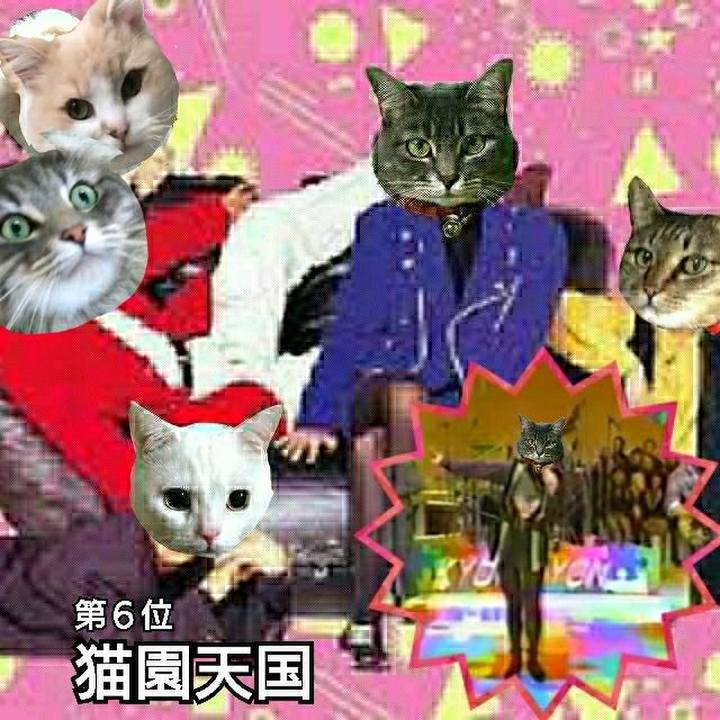 42f27d0b 854b 4c69 bd43 c03135c6db62 1529839472804