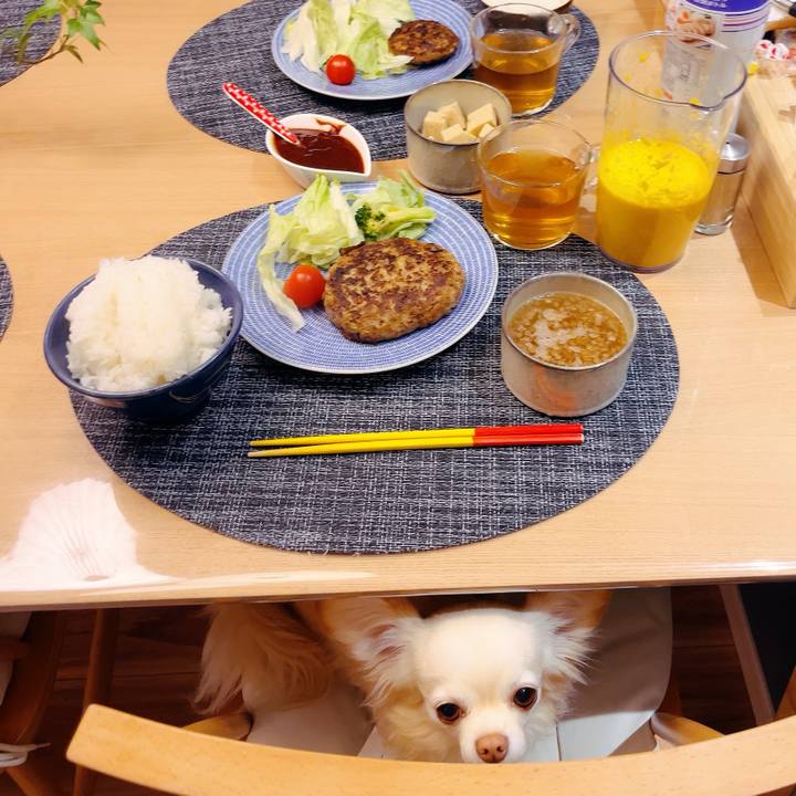 42f2a289 5882 4aeb 8869 fbd8a67ca606 1705753893021