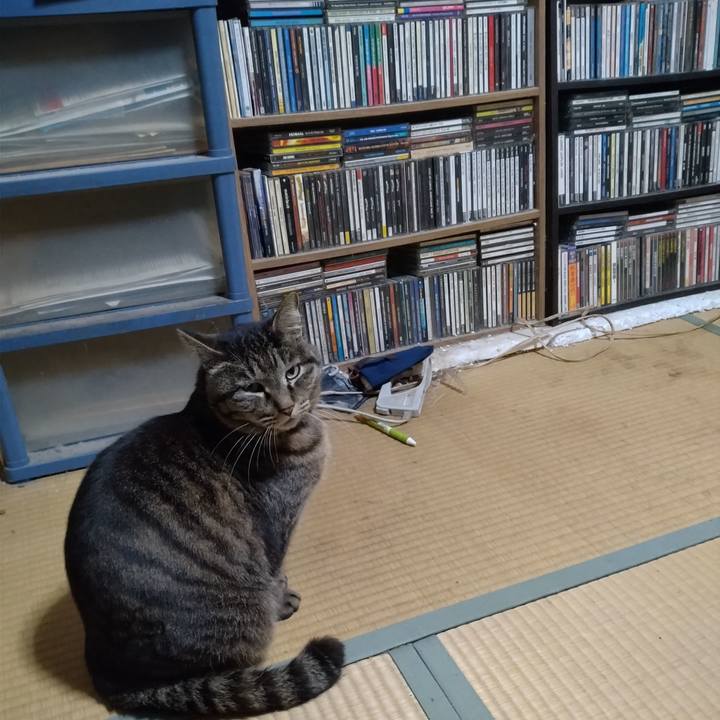 42f2c1f3 81a9 46aa 95fd d460c418843c 1743508501077