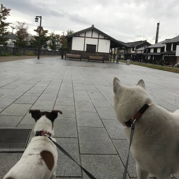 42f2d87a c5cd 456a 802e ddfbd72daca3 1509235029483