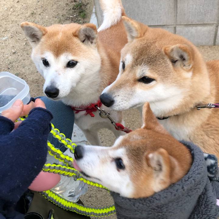 42f2dc57 25e1 4f9a be0a 8498d566f5de 1735550514589