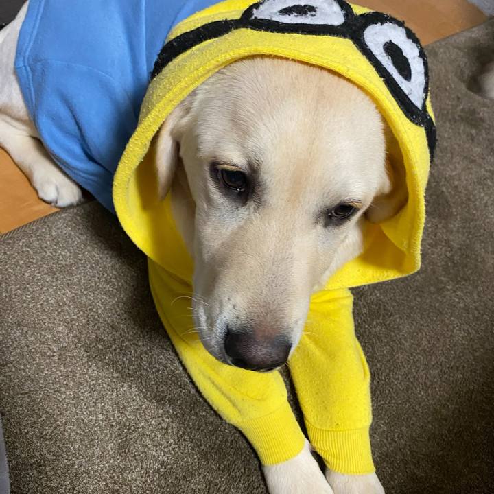 42f2f61d 9634 4c37 b8d4 21a638d7b3a5 1618726221954