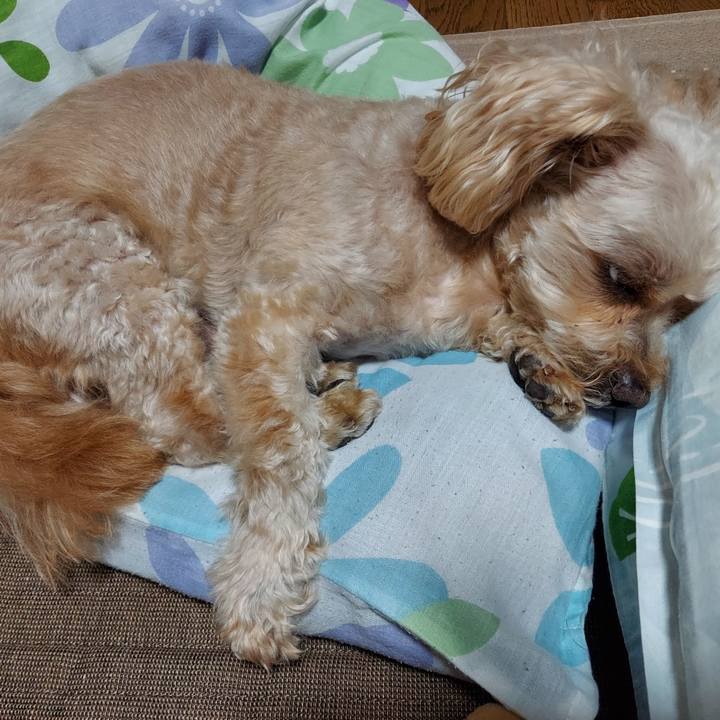 42f356cf 5f3d 4d0b ae7e 7ed42dd65a7e 1660031255844