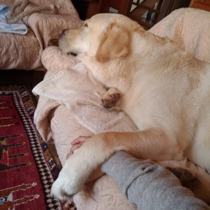 42f396d7 a401 4d04 bc59 0998d8882c02 1551507633152