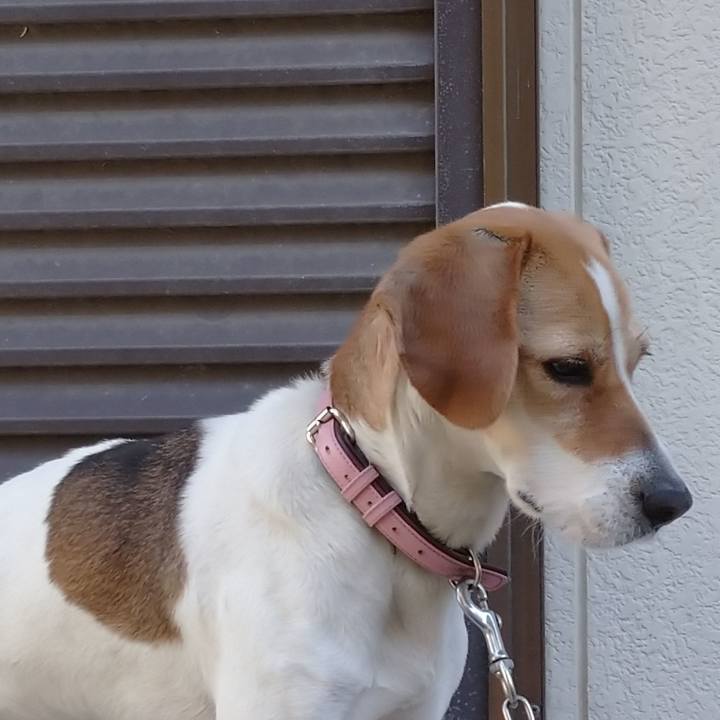 42f3ca51 efae 4d66 bd03 2e09b93561c3 1584343743774