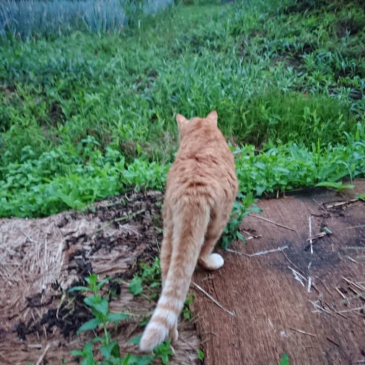 42f3e19b 08e9 4de7 8395 8db43673c802 1566466821067