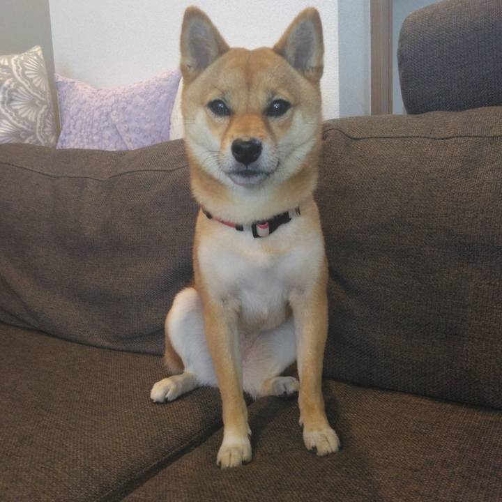 42f3f984 98d2 4e94 a22c bcb476ca1584 1760929661144