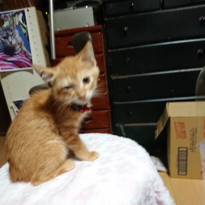 42f45426 83cf 47b7 8b2a 7d4ee5f53f8a 1628280339843