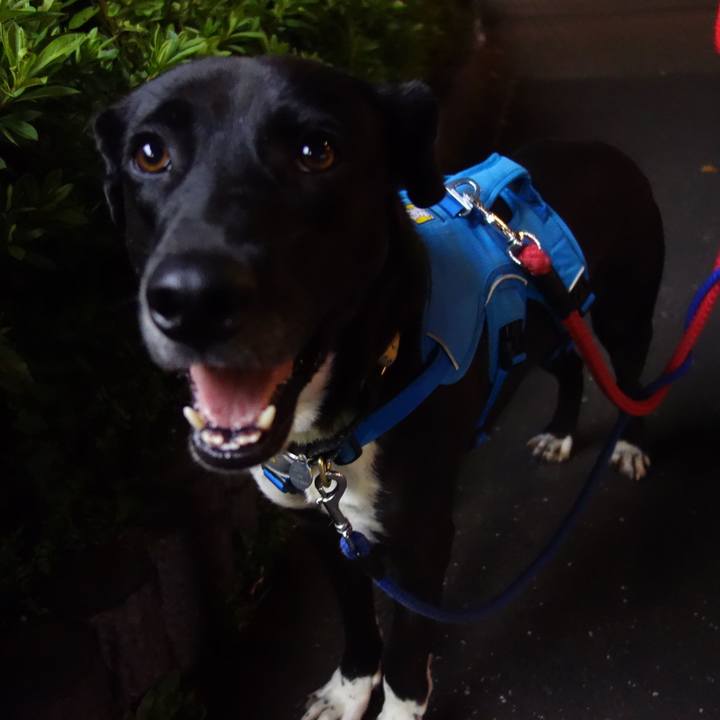 42f4567c 5ff9 46f6 801b 596bc78f7aee 1603966386540