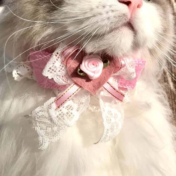 42f46968 0c14 464f b021 2427846f4ba4 1610259066007