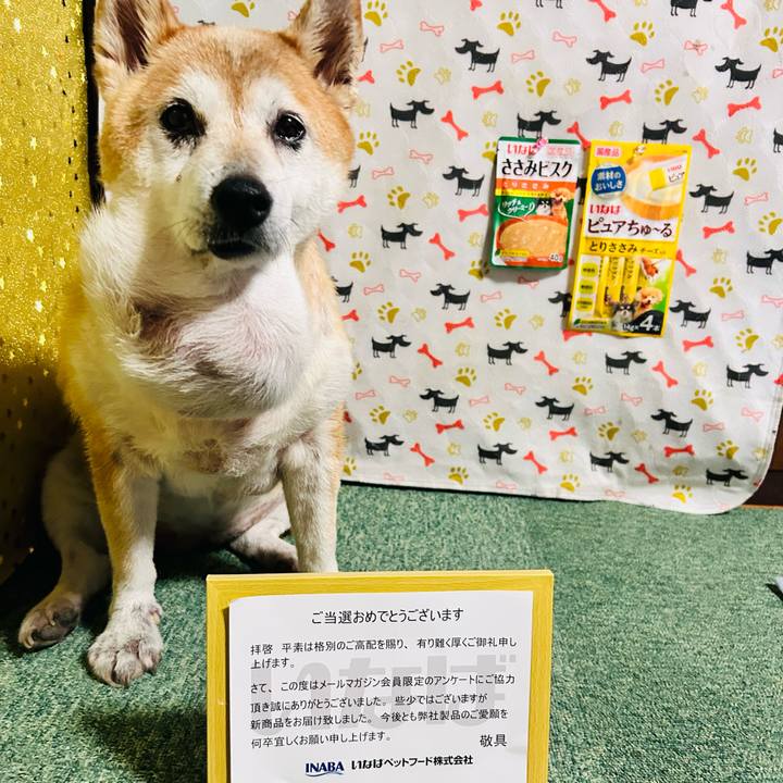 42f48a51 25b2 4c65 95f1 d901d860ef1a 1758621222426