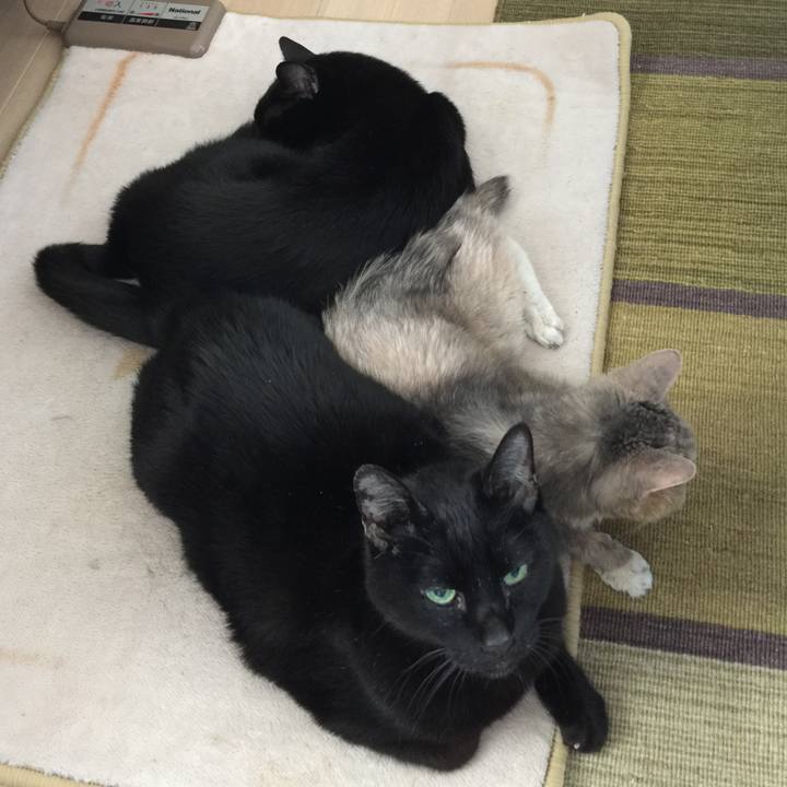 42f4c464 1d71 4429 a708 8346c69bad42 1541216496901