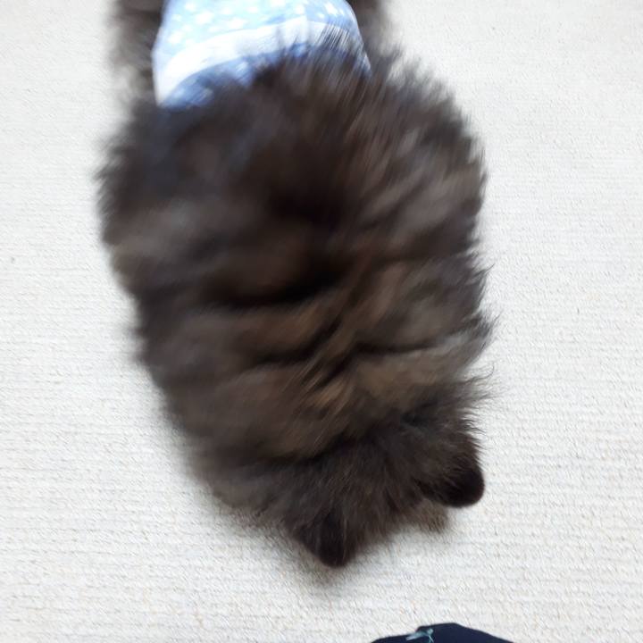 42f4f3ea 8020 4eaa 88ee aa0b3179afff 1522013115282