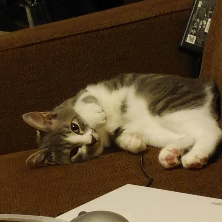 42f508e9 dbda 44cd a497 b60e8f768933 1566993034266