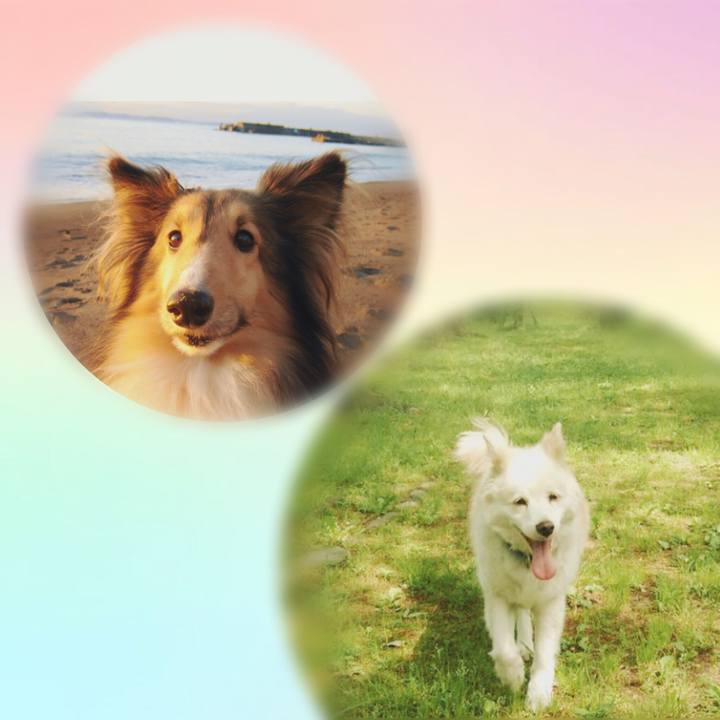 42f53ccd 37d4 4f75 8482 f1336664902e 1511363613324