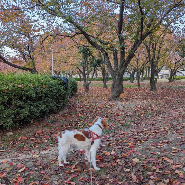 42f549b0 b6d8 44ae 9154 b2492c0b3a49 1637224840515