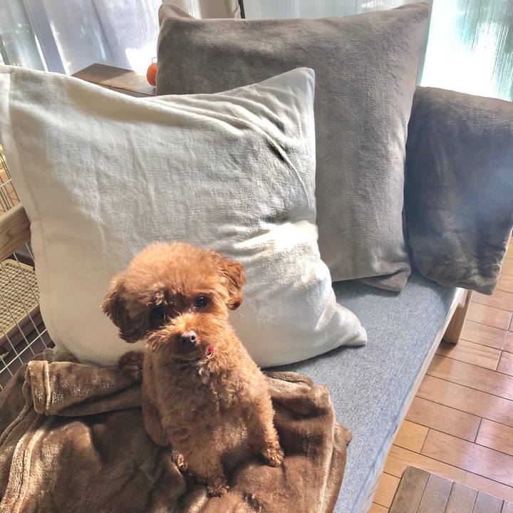 42f5672a 2424 4968 9383 85c04604f72d 1575767485263