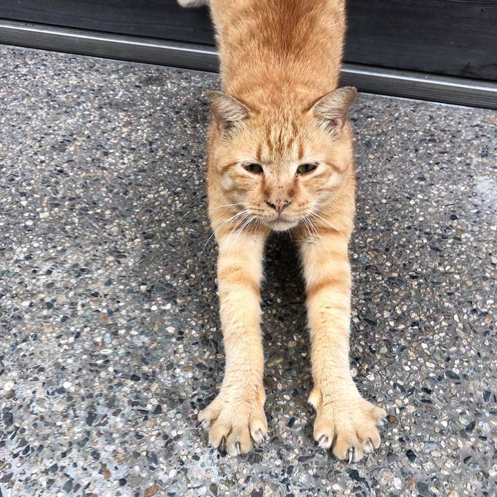 42f575b7 77c0 4162 bd9f d25db70001ee 1631586151007