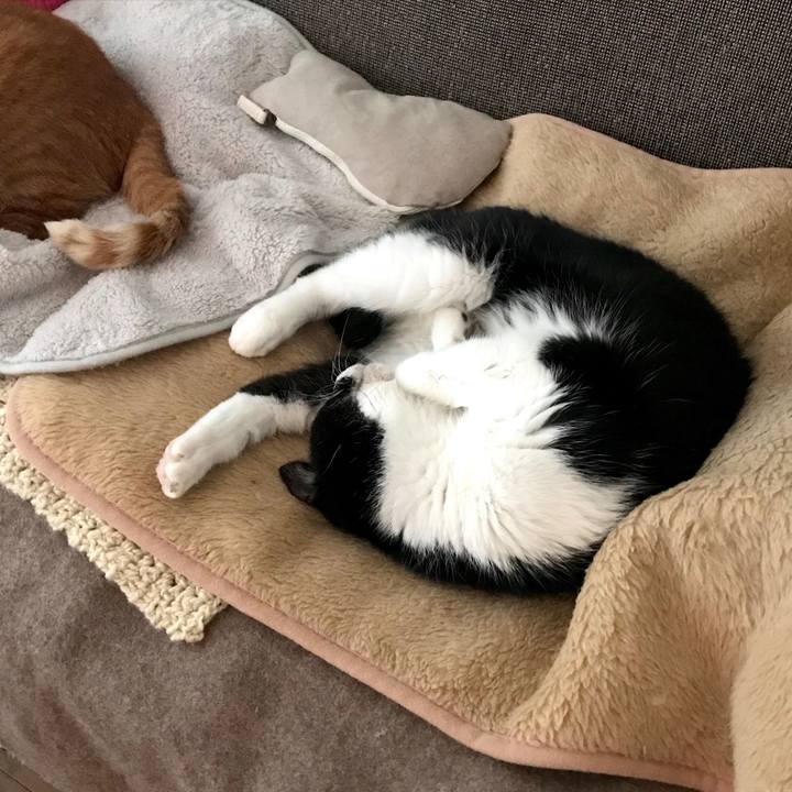 42f5b86b 5c9e 4074 9fc9 de1ce798e360 1576313605163