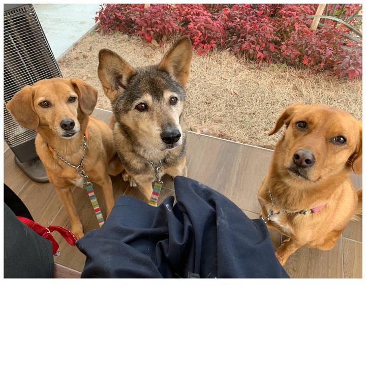 42f5c676 ac39 45df 8c0f 0e59edae3340 1579151230698