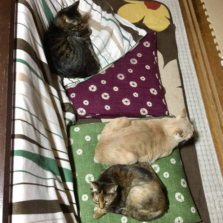 42f5ceba b6dc 4dc9 9480 5937b4bf191d 1511340467730