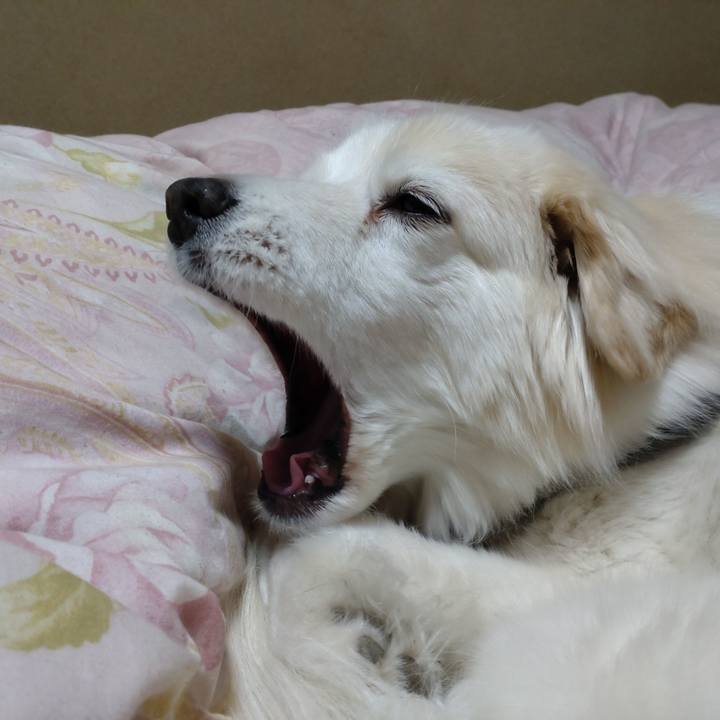 42f5d14f 1b41 4830 b796 9ac317aee3a8 1645394118986