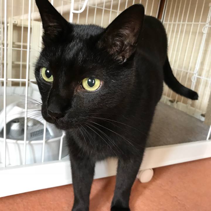 42f6137c c374 4335 a9d9 897cac5691ee 1510191232532