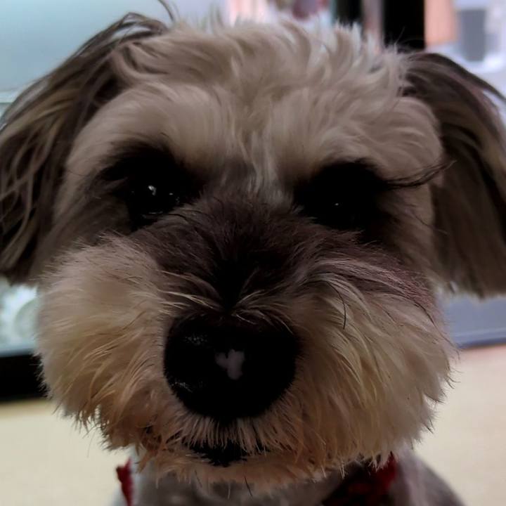 42f61c80 93aa 40ca a99f a41312322aff 1760793221093