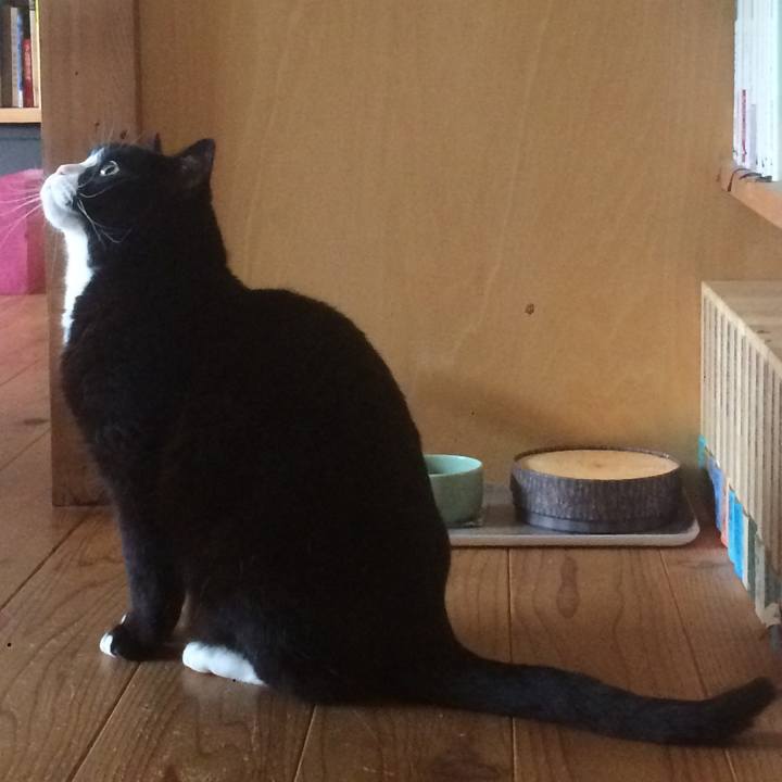 42f624c9 236d 41e8 88fa f460c6cd0981 1582329909471