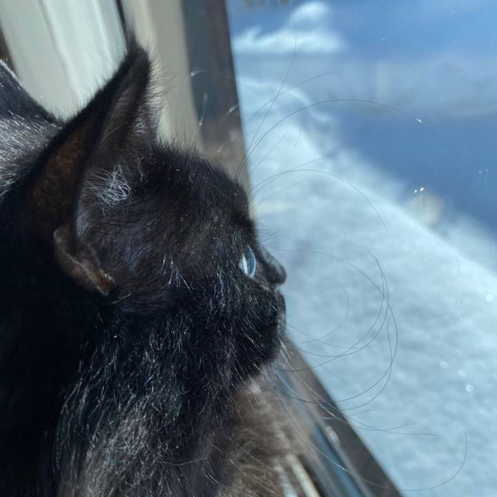 42f6284f 2e1f 45ef bd9a b5ca53261917 1581300413388