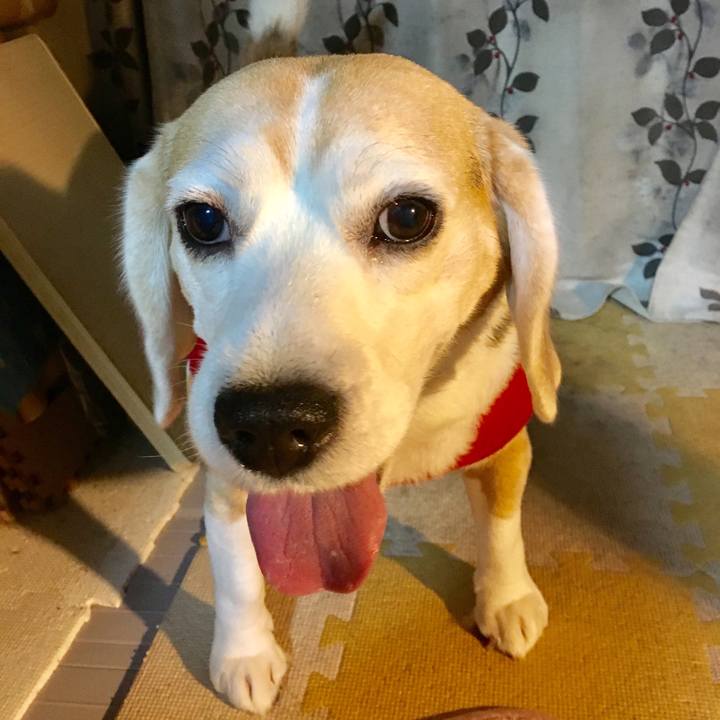 42f62907 c3de 449a a1ca bbccb21bad3a 1553524675851