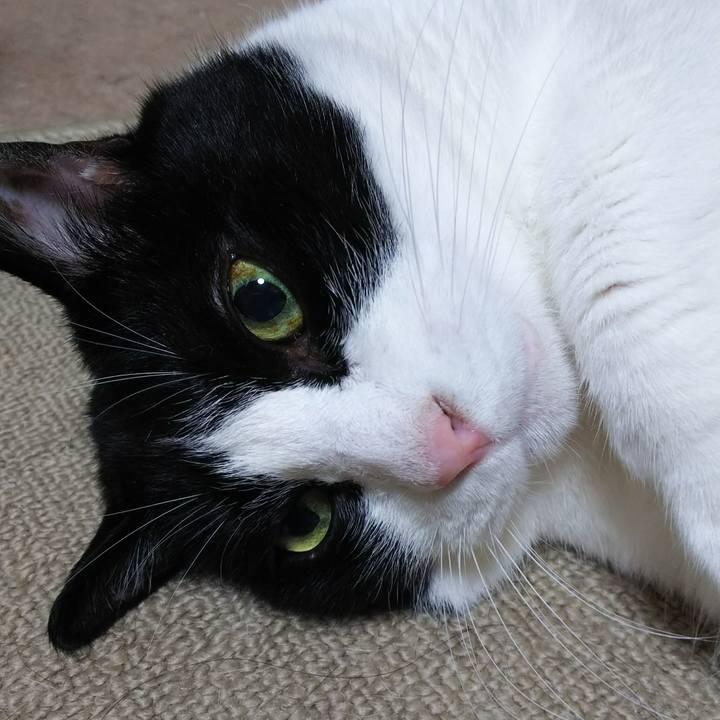 42f66a6b 862c 48f7 a3be 2944bdc0a37e 1533219521161