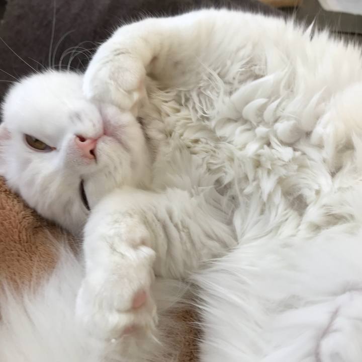 42f67ec0 c450 406b ab4e 39105f2d866d 1513551851990