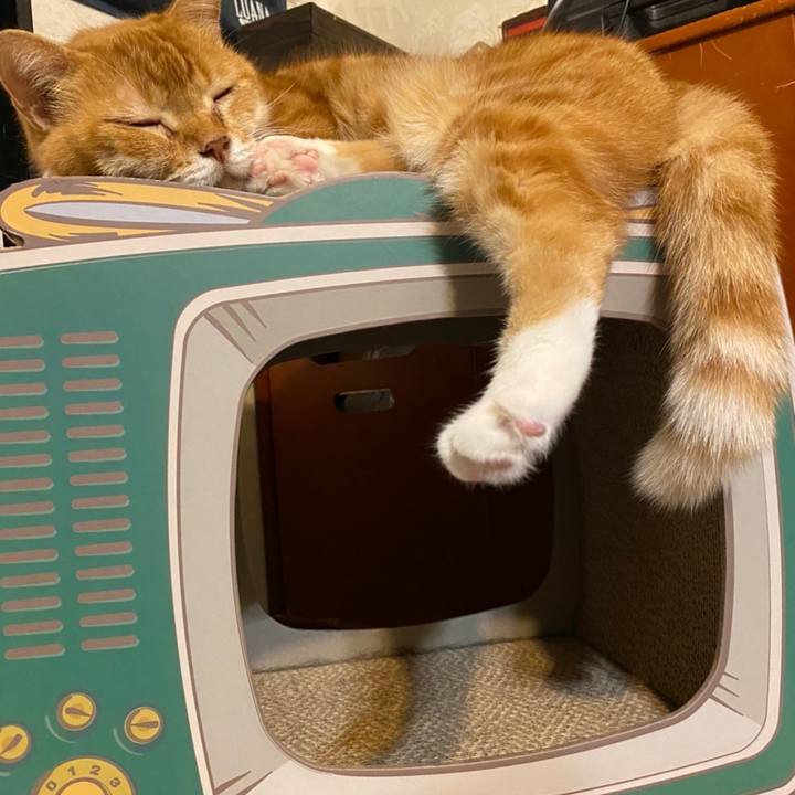 42f68fd5 1f77 47ae a9dc bad1a3621039 1632351095734