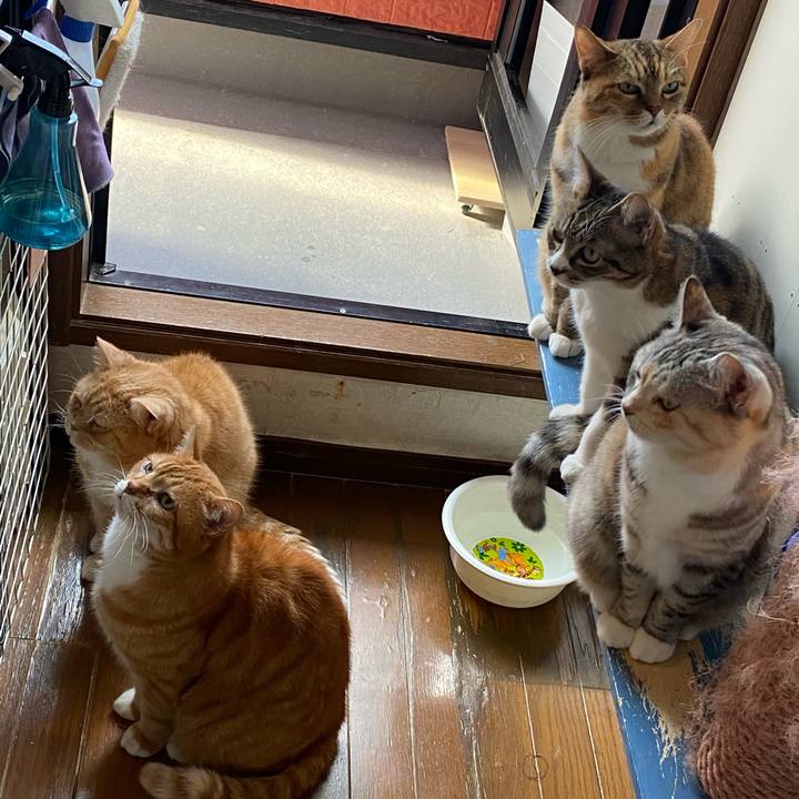 42f6d92f 4f6d 4065 a110 0a115e76556a 1654773803289